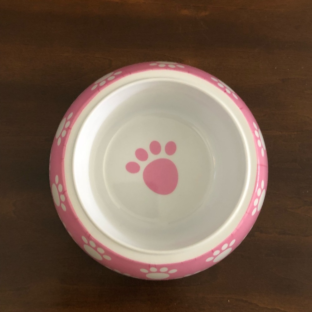 2/$20 Petrageous Pink Pet Bowl